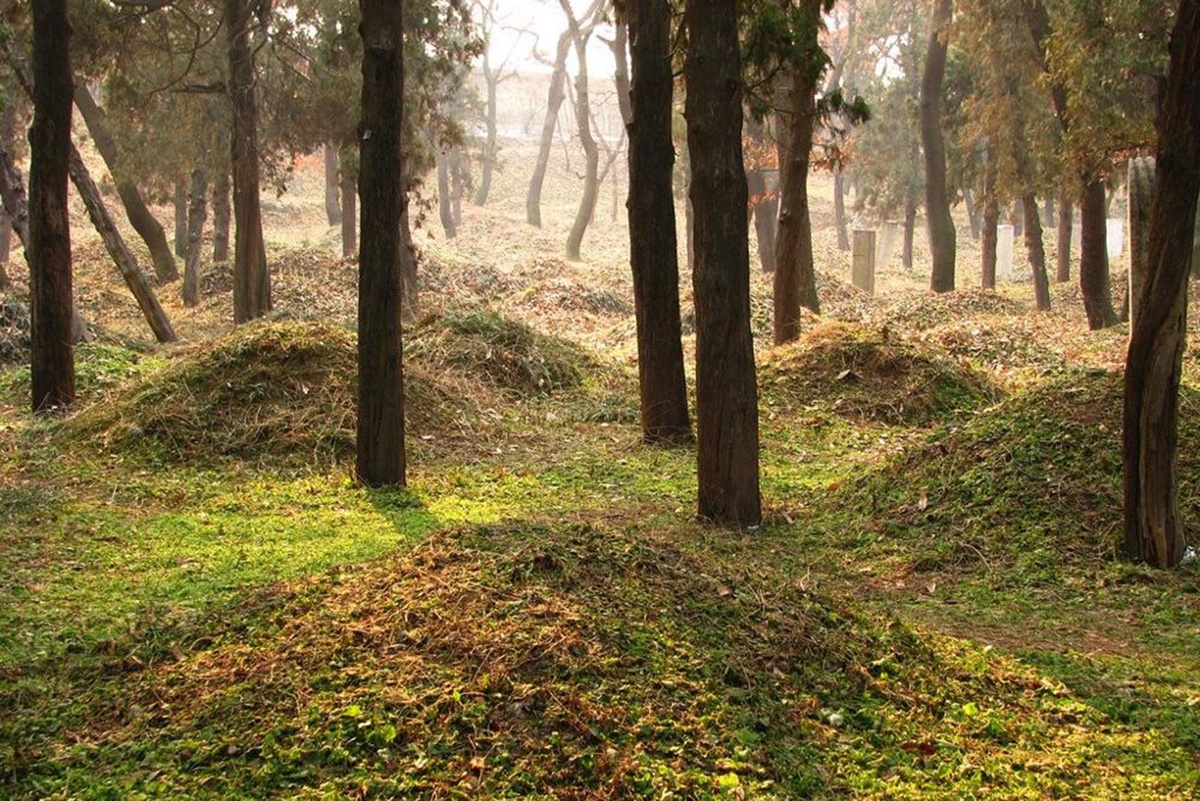 Кладбище Конфуция. Могильных холмиков много, а памятников - не очень. / Фото: Соцсети