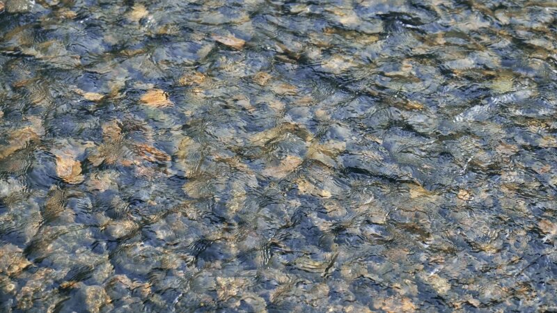     Вода. Водоем. Река. СС0