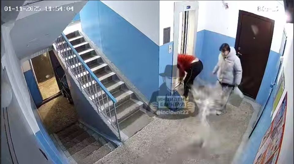    Женщина опрокинула ведро с водой. Источник: t.me/incident22