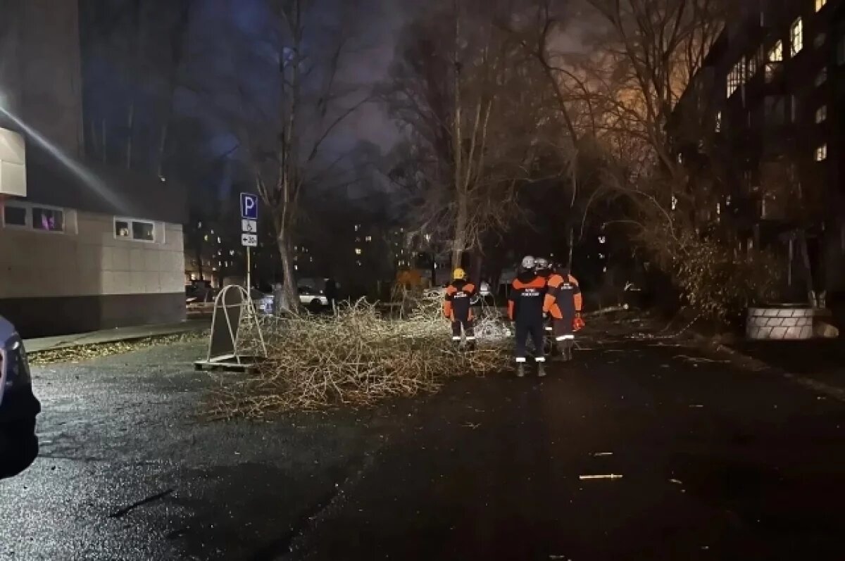    В Барнауле сильный шторм привел к 14 происшествиям