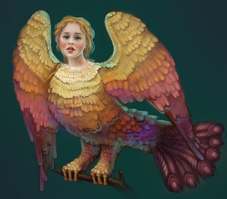 Фото взято из открытых источников интернета 