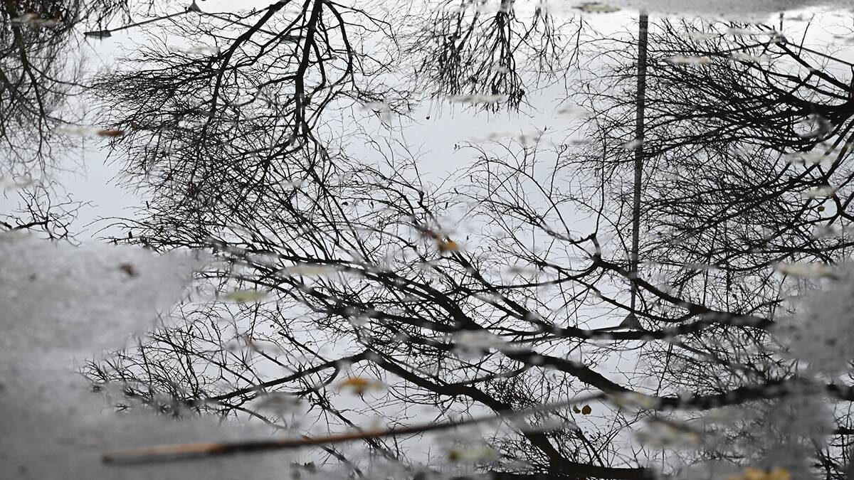    Фото: Мария Хапцова / Вечерняя Москва