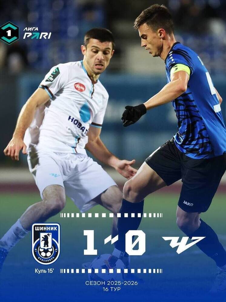     фото Шинник