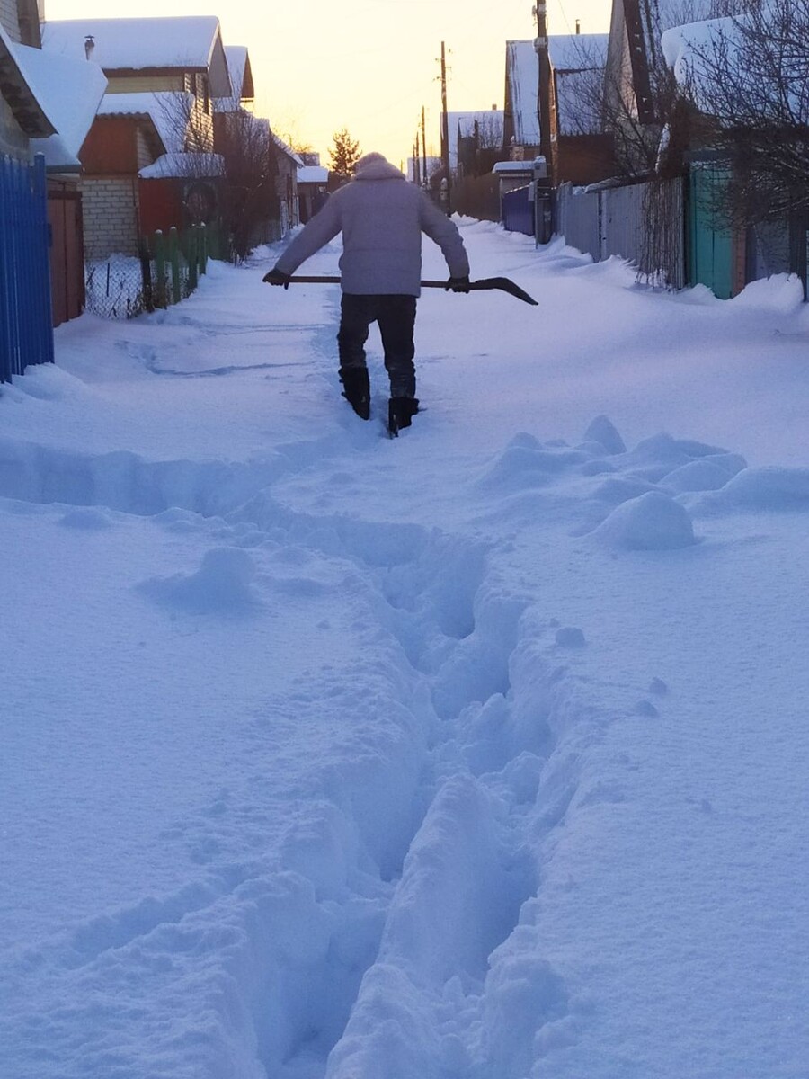 Зима в саду