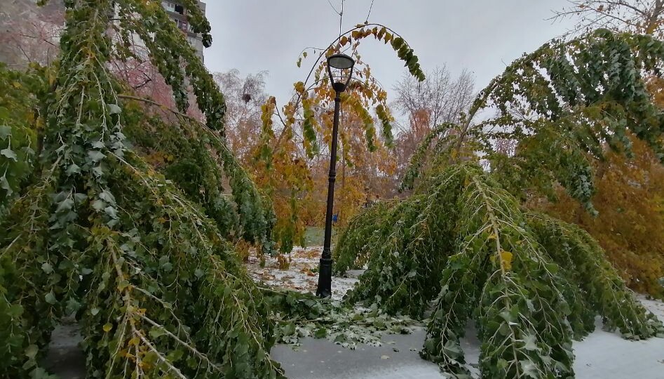 2 ноября. Зима все ближе. Расскажу про таинственный укол, который я делаю раз в год, и кому он тоже будет полезен