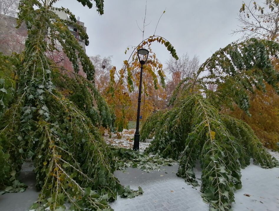 Фото из архива - вот такой ледяной дождь был у нас прошлой осенью