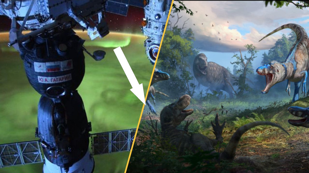    Солнечные тайны и межзвездный комета, который меняет всё, а также динозавры, которых ещё не знал мир