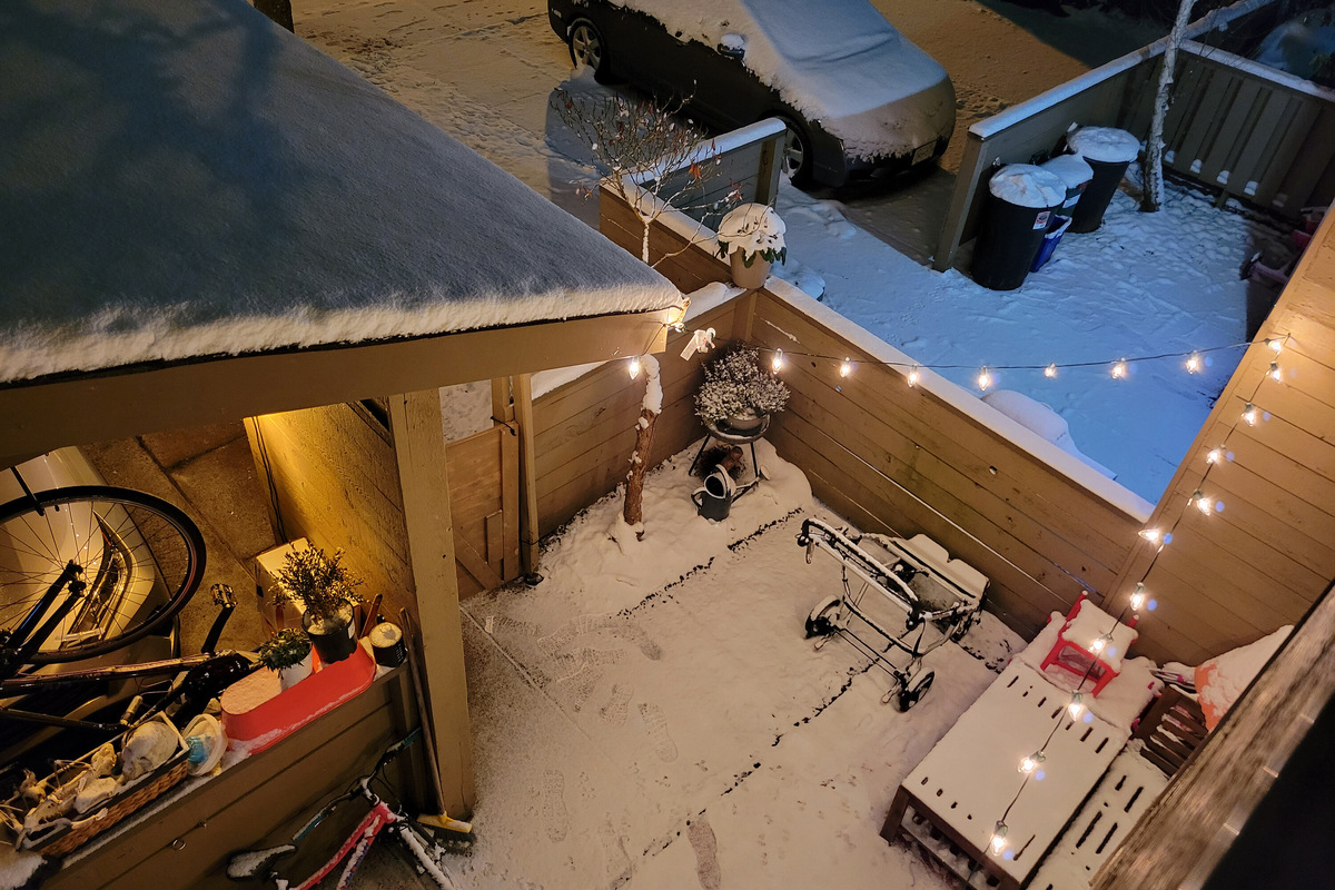Декабрь 2021 года был одним из самых снежных на моей памяти