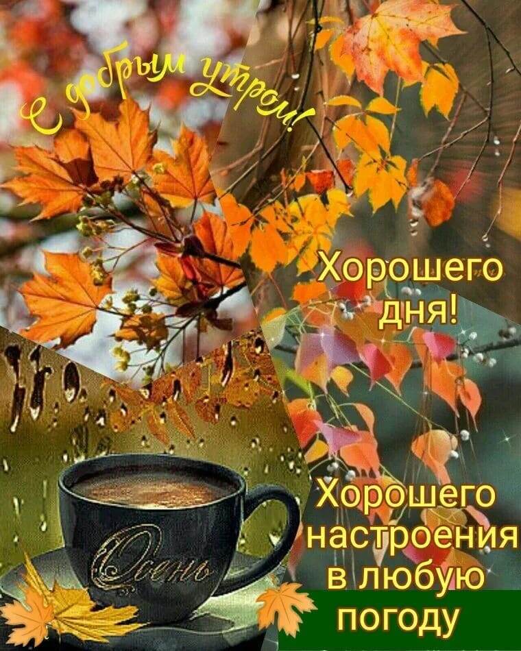 Фото из открытых источников.