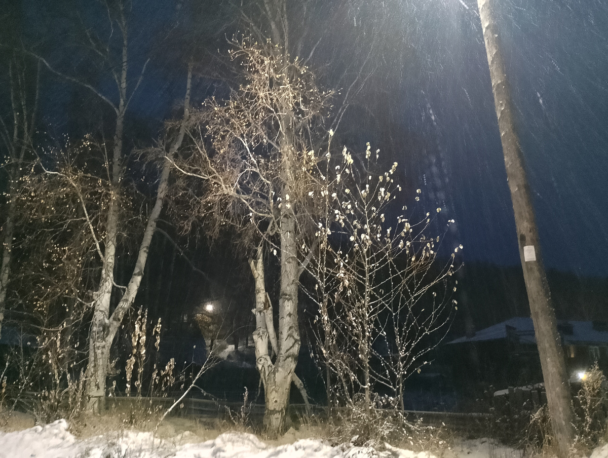 Фото 📷 автора.