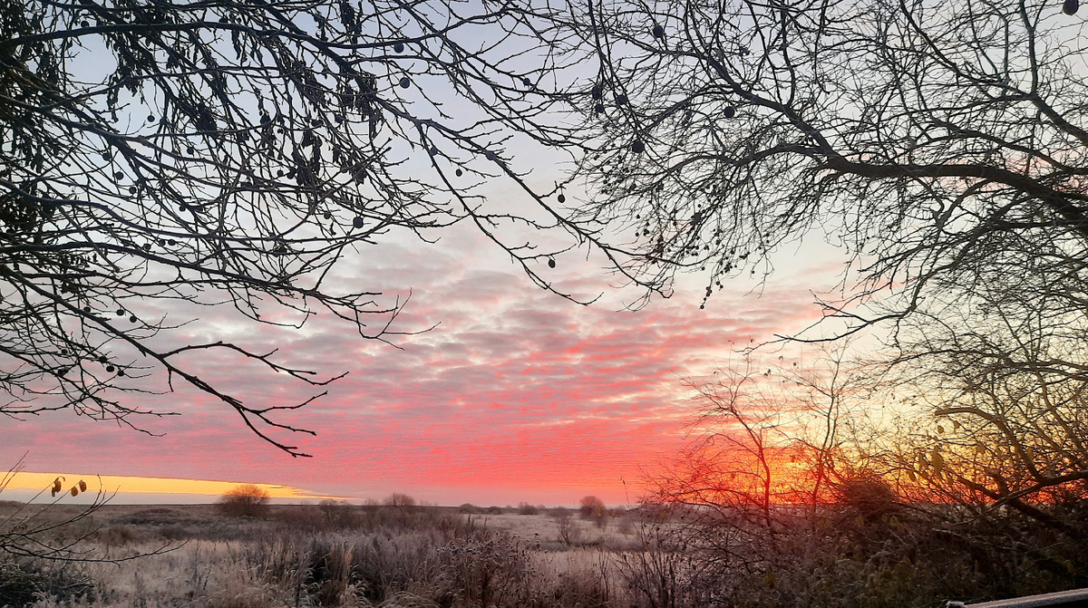 Фото автора. 