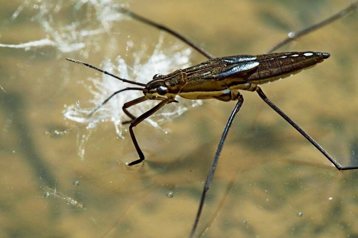 Фото с сайта: https://poembook.ru/poem/3182597