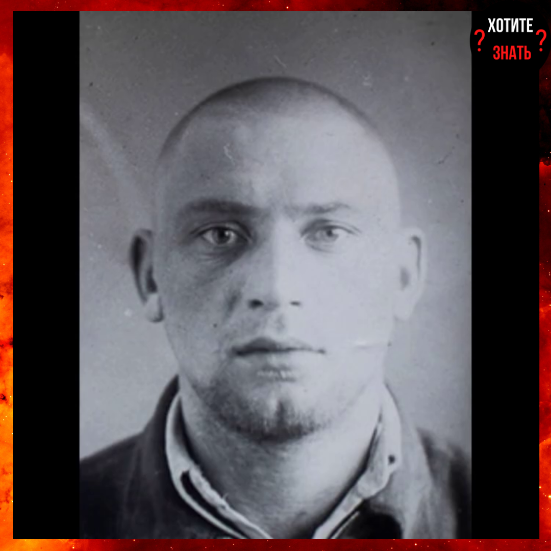 Алексей Васильев