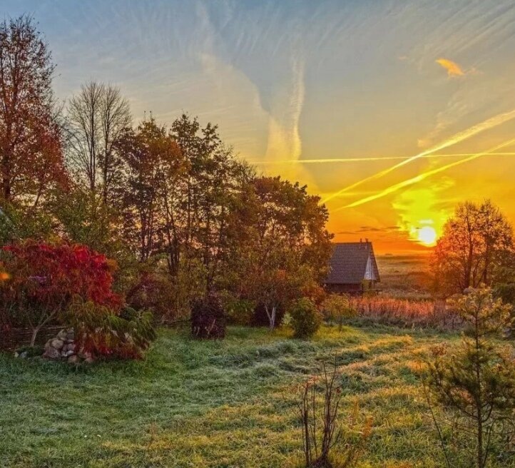 картинка из интернета