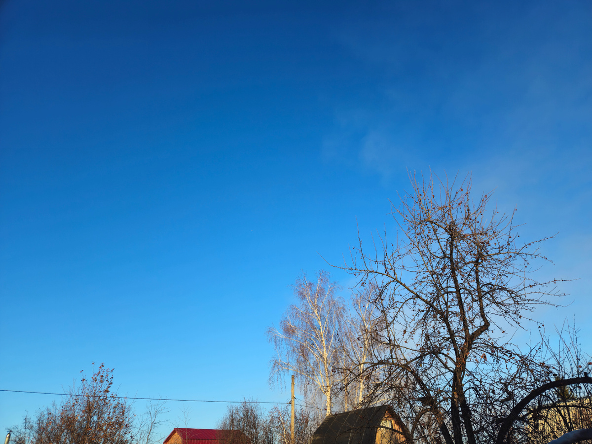 Утро на природе, дача в воскресенье.
Фото: Марина Н. Макарова, Омск, 2нояб25.