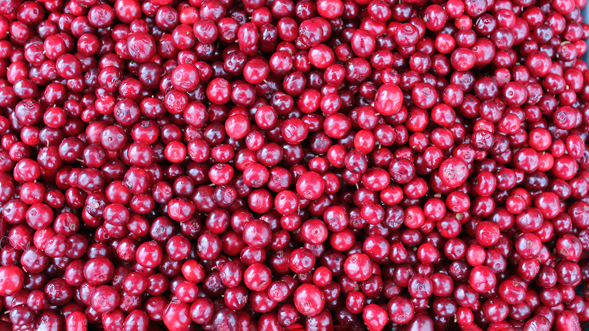     Фото: Unsplash.com