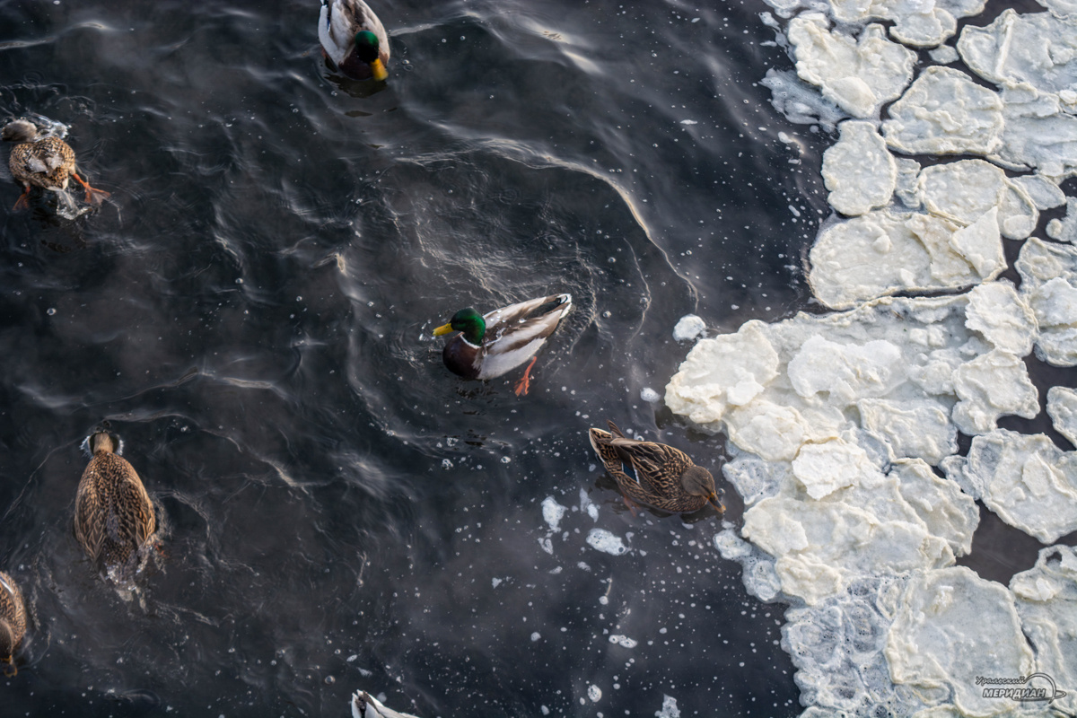    Фото: Галина Ниценкова © ИА «Уральский меридиан»