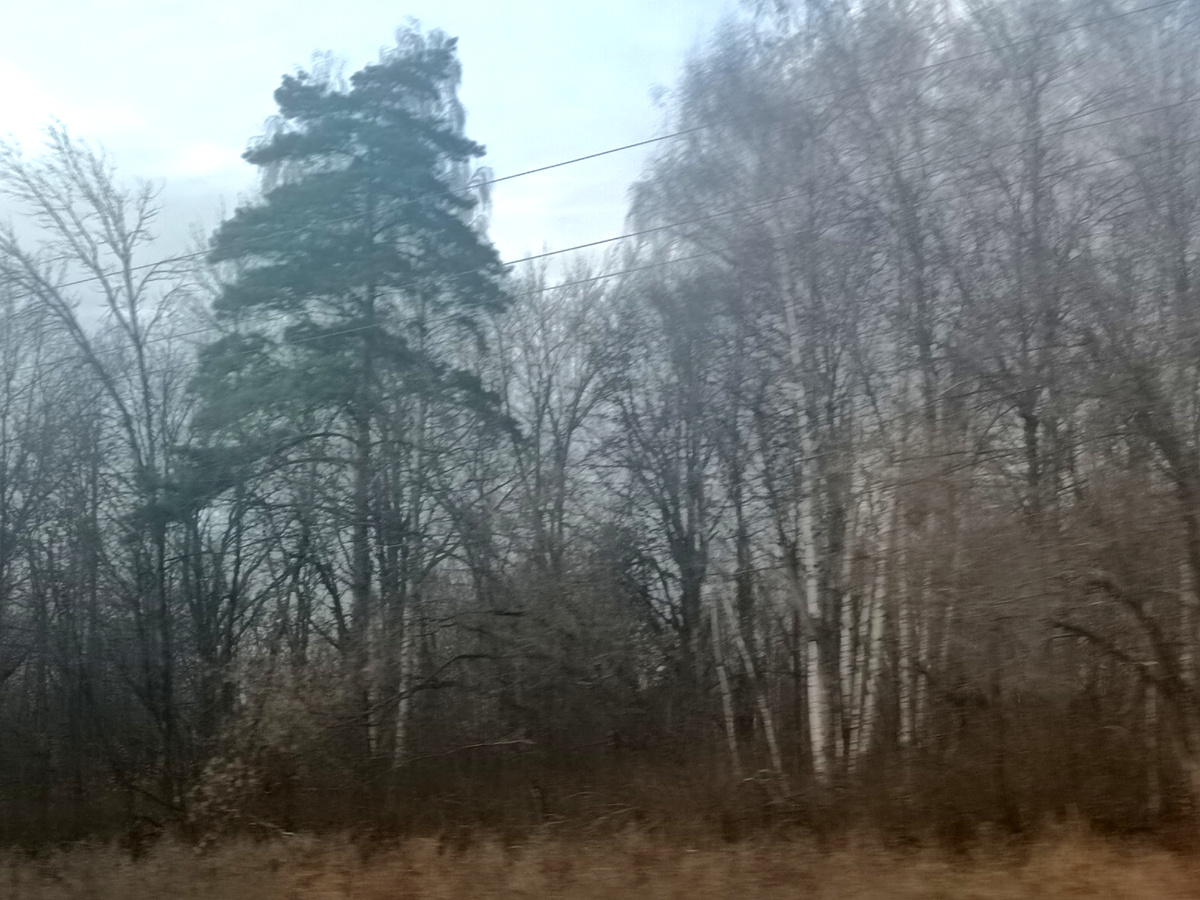 А за окном вот так