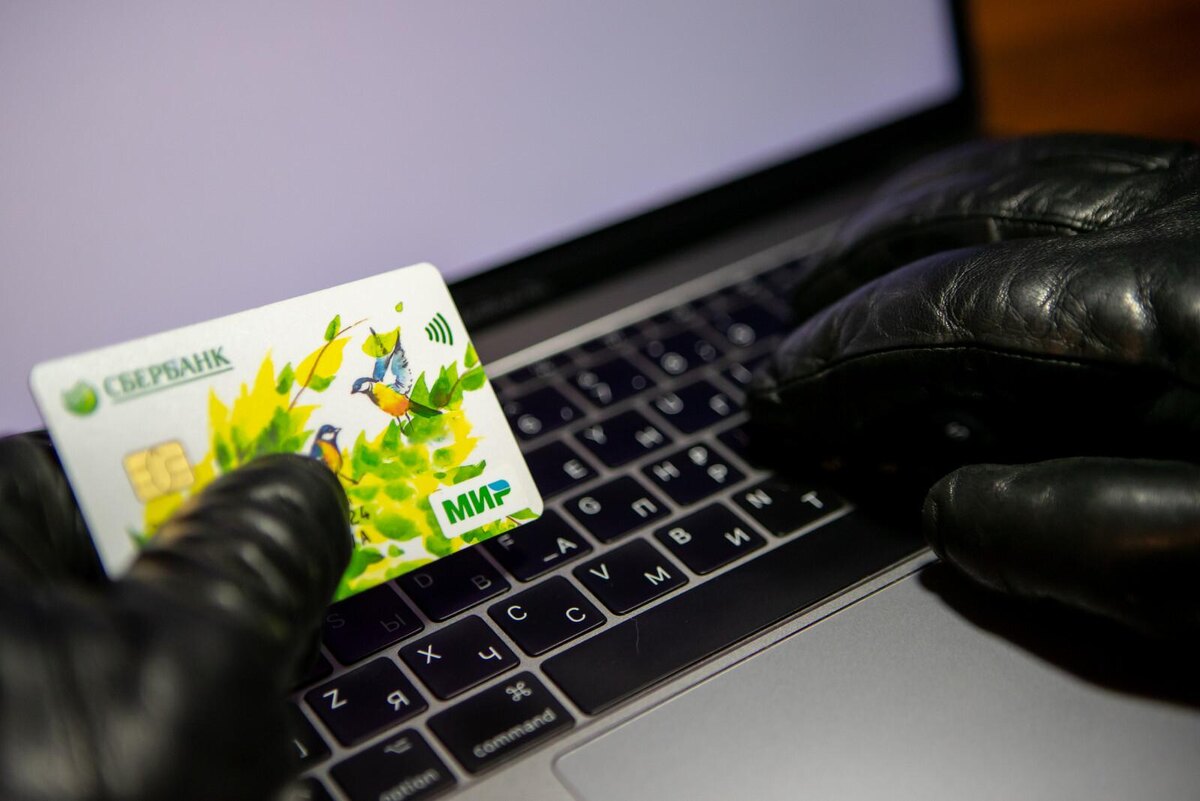 Фото: Олег Золото / «Петербургский дневник»