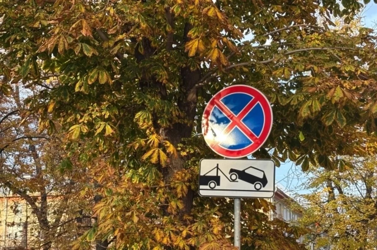    В Кемерове нарушителей парковки теперь выявляет автоматический комплекс