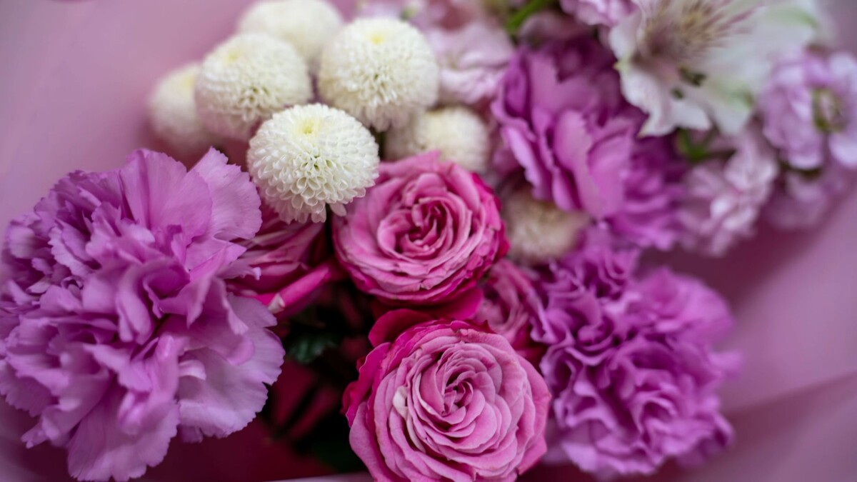    Фото: Сергей Зубков / «Ямал-Медиа»