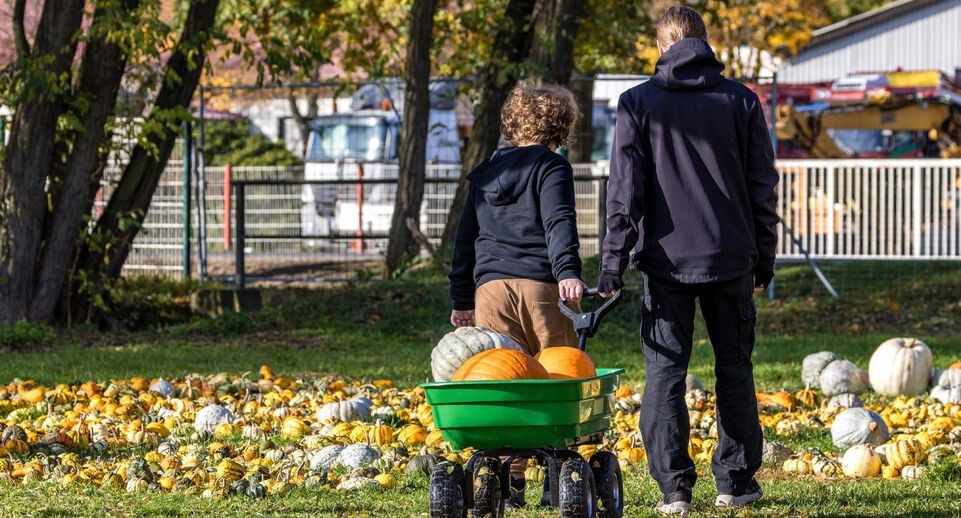    Frank Hammerschmidt/dpa / www.globallookpress.com