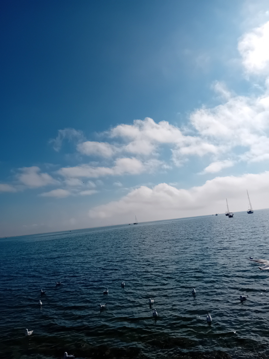 Авторское фото.