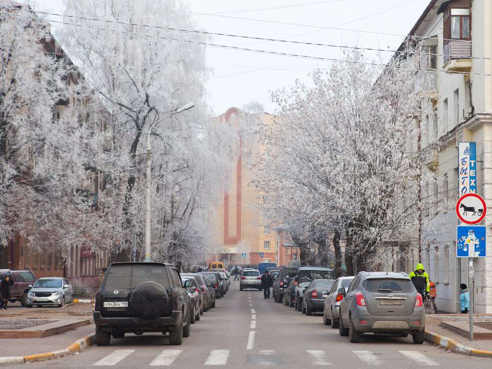    Фото: медиасток.рф
