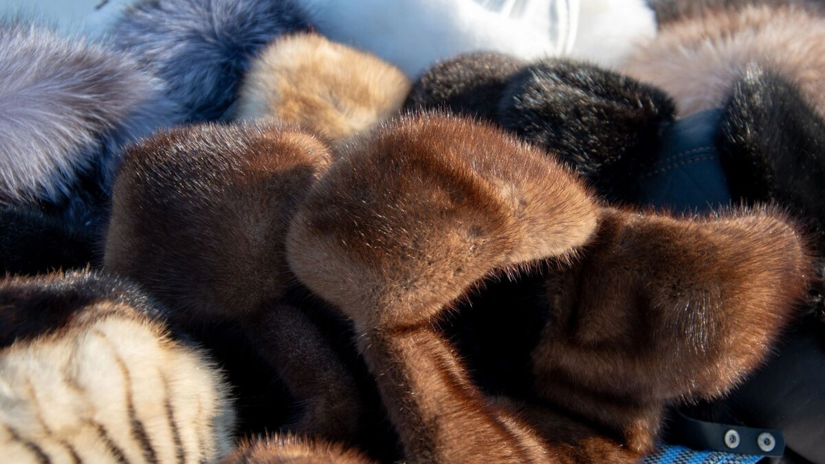    Фото: Юрий Здебский/«Ямал-Медиа»