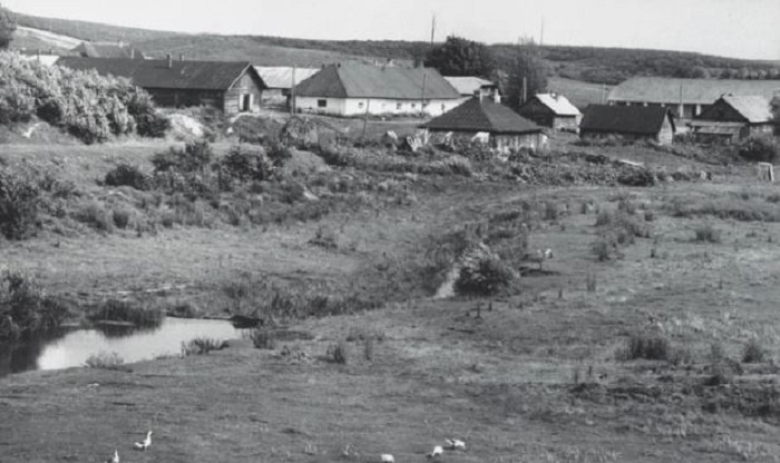 Послевоенная деревня в Полесье. 
