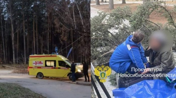 Фото «Сообщество Академгородка», прокуратуры НСО.