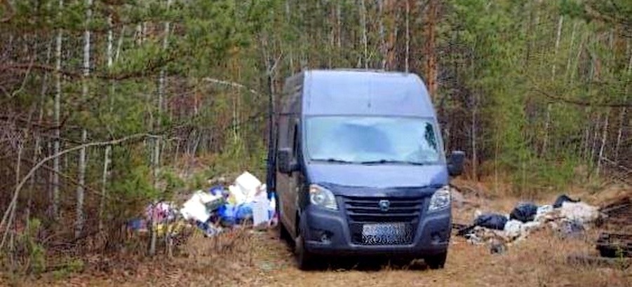 Фото сделанное фотоловушкой в Падунском лесничестве / Источник сайт правительства Иркутской области