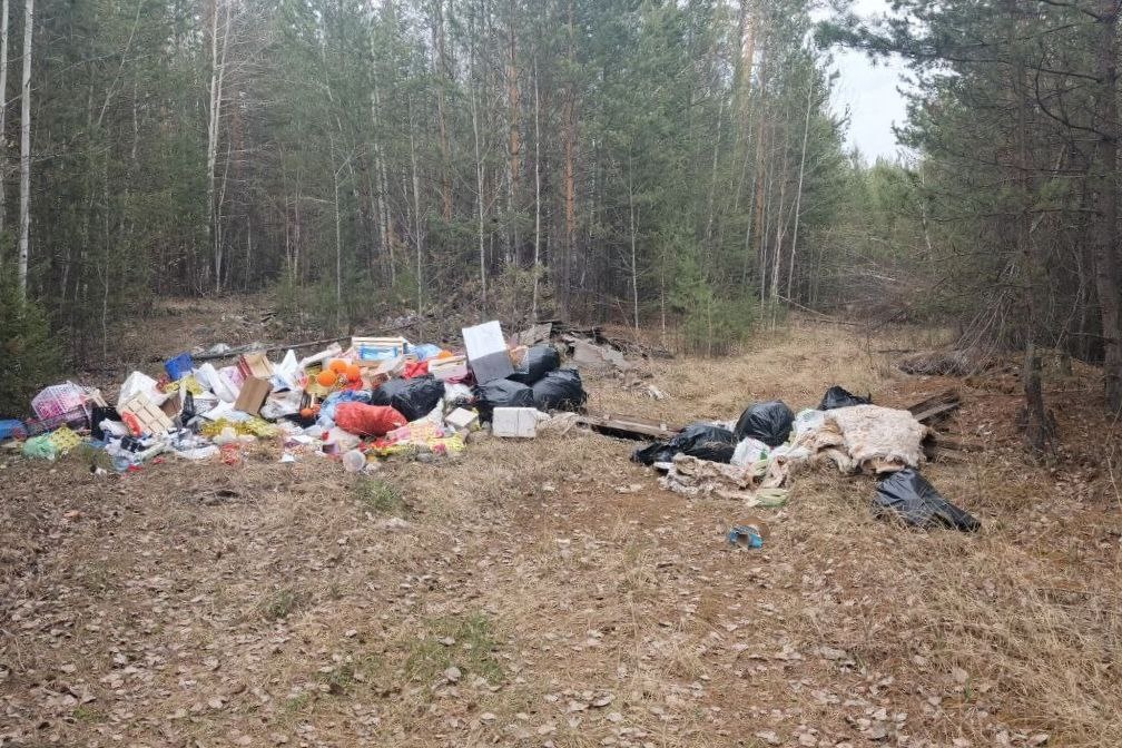 Фото сделанное фотоловушкой в Падунском лесничестве / Источник сайт правительства Иркутской области