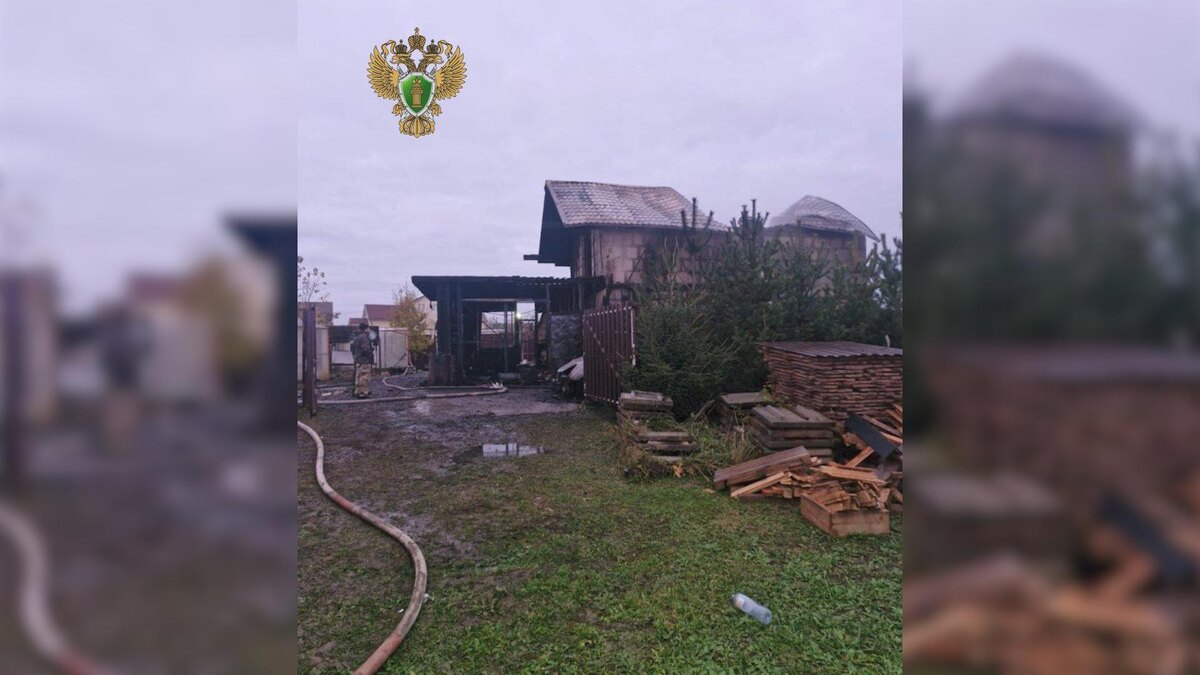    Фото: t.me/prok_lenobl