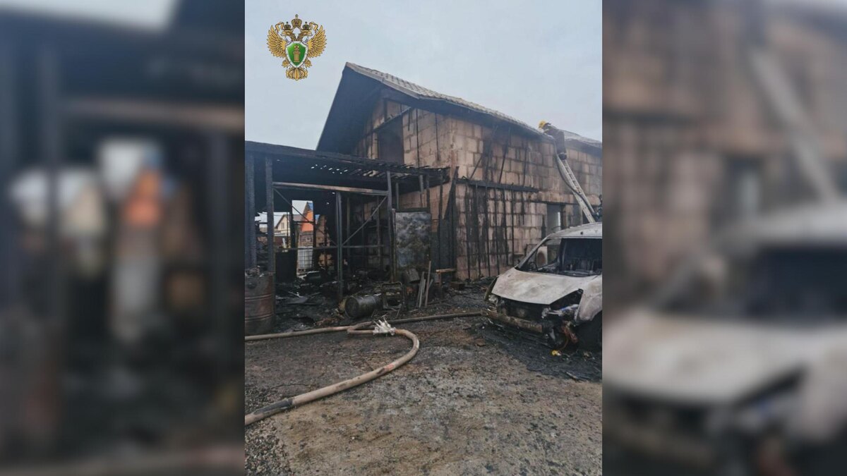    Фото: t.me/prok_lenobl