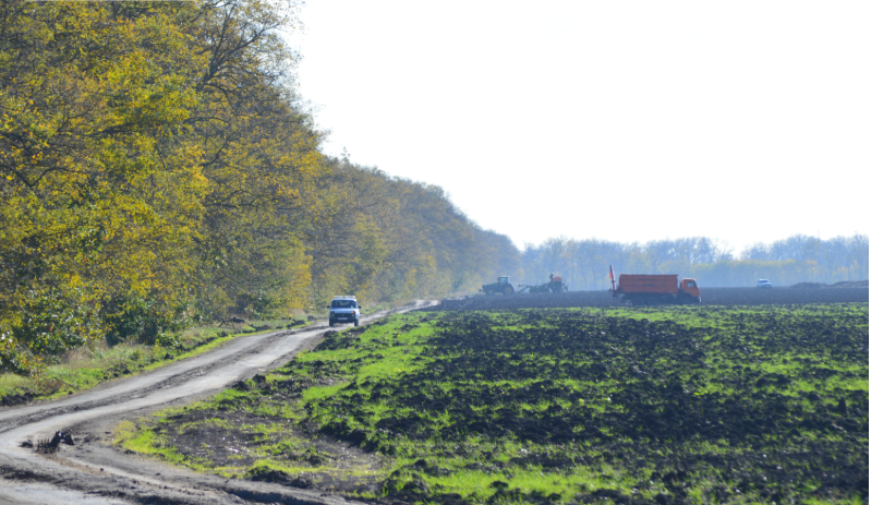 Фото автора. 01.11.2025. Убоке сахарной свеклы в агрофирме.