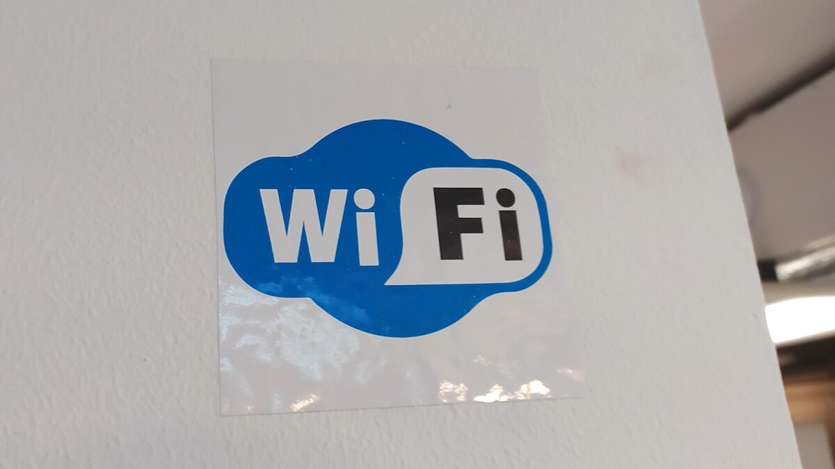    Фото: Maksim Konstantinov/globallookpress.com