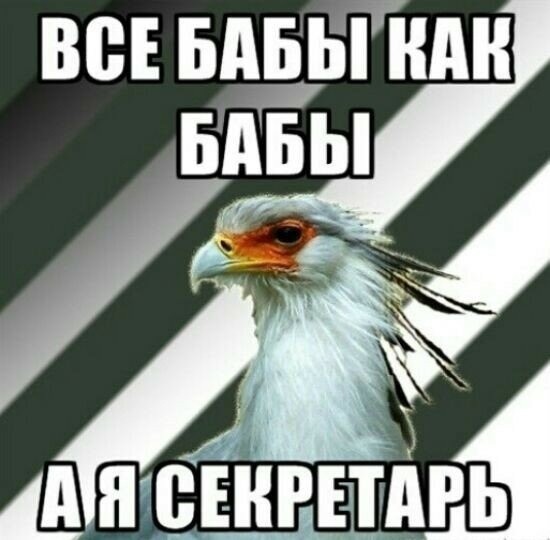 Новинки жанра "попаданцы в прошлое", №443