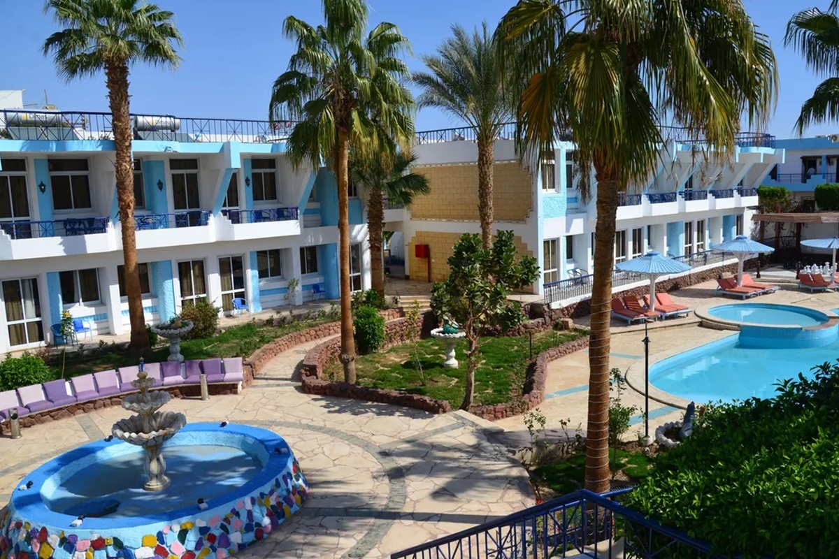    Фото: Алексей Витвицкий, источник РИА Новости