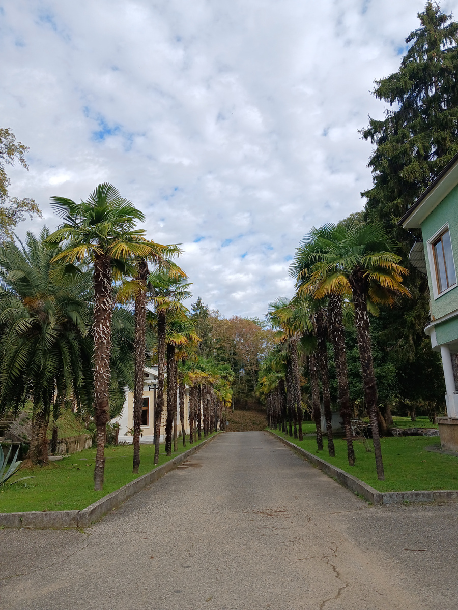 Пицундо-Мюссеровский заповедник 