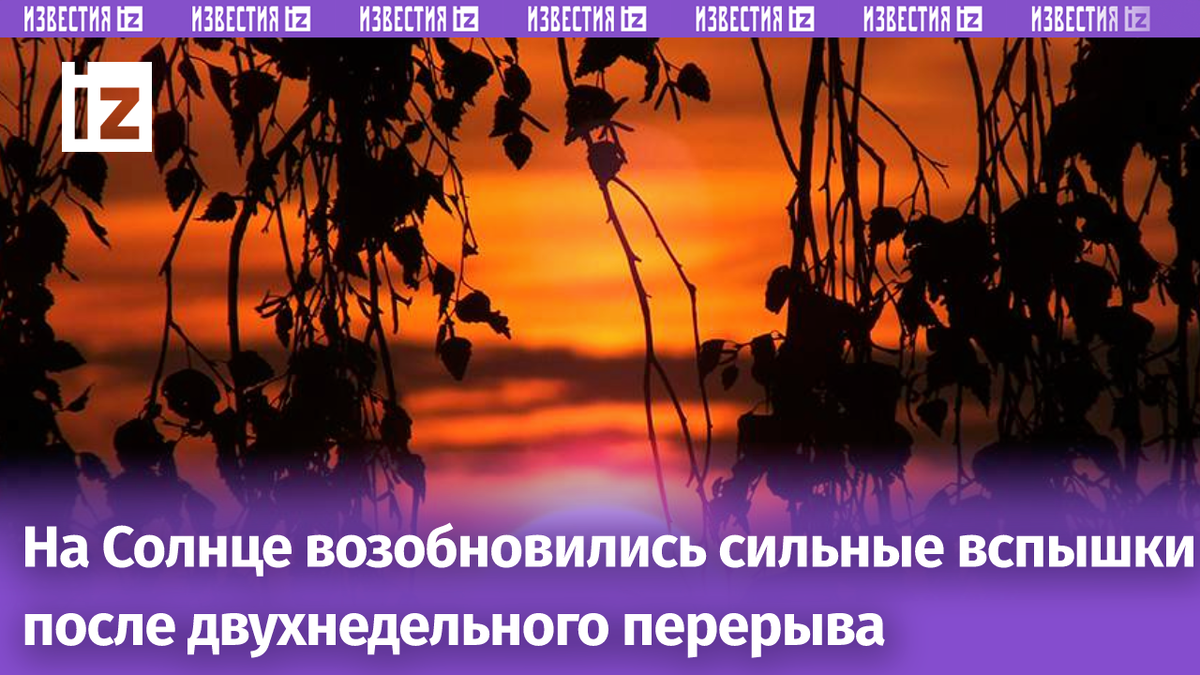 Фото: Global Look Press/Victor Lisitsyn