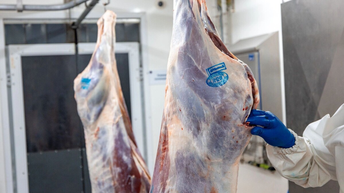    Фото: Сергей Зубков / «Ямал-Медиа»