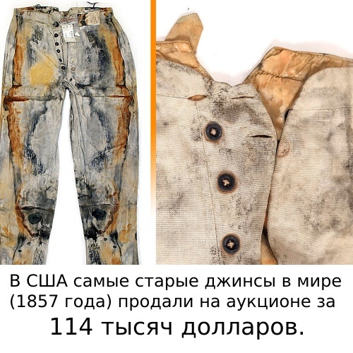 Брюки, извлечённые из затонувшего корабля S.S. Central America. На сегодняшний день — самые старые джинсы, проданные на аукционе.