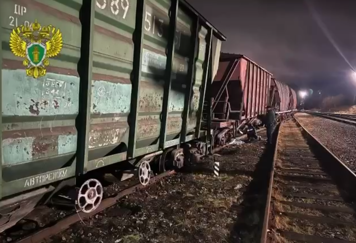     / Источник: © Северо-Западная транспортная прокуратура