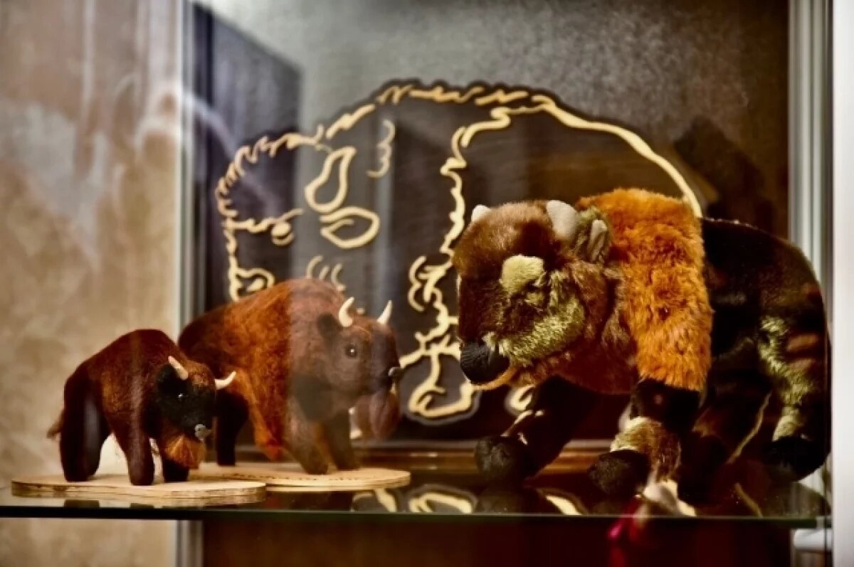    В Московском метро появится поезд с символикой Орловской области