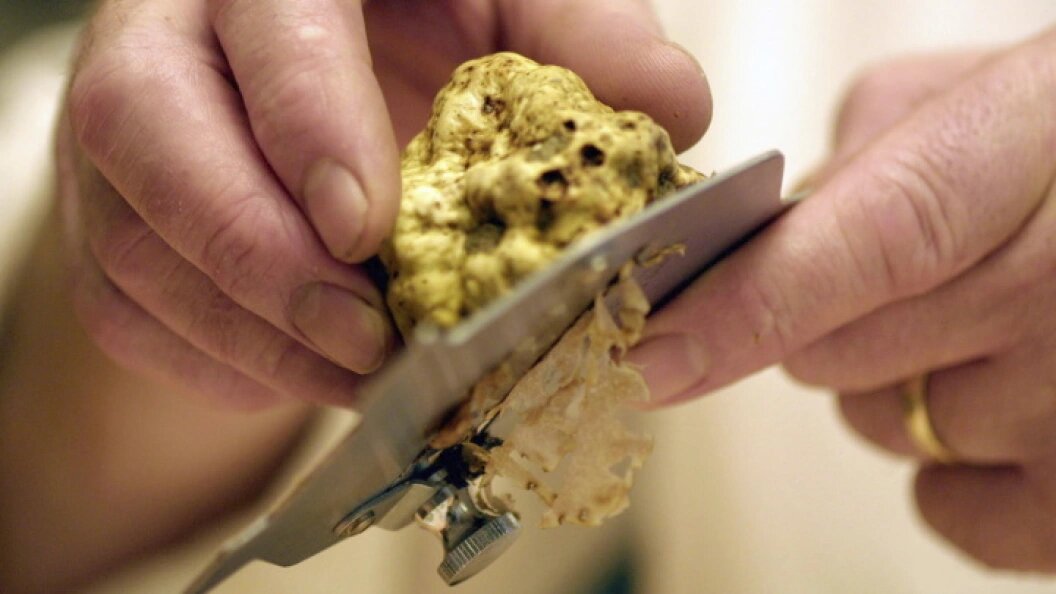    Фото: © Kreutzer/imageBROKER.com/Globallookpress