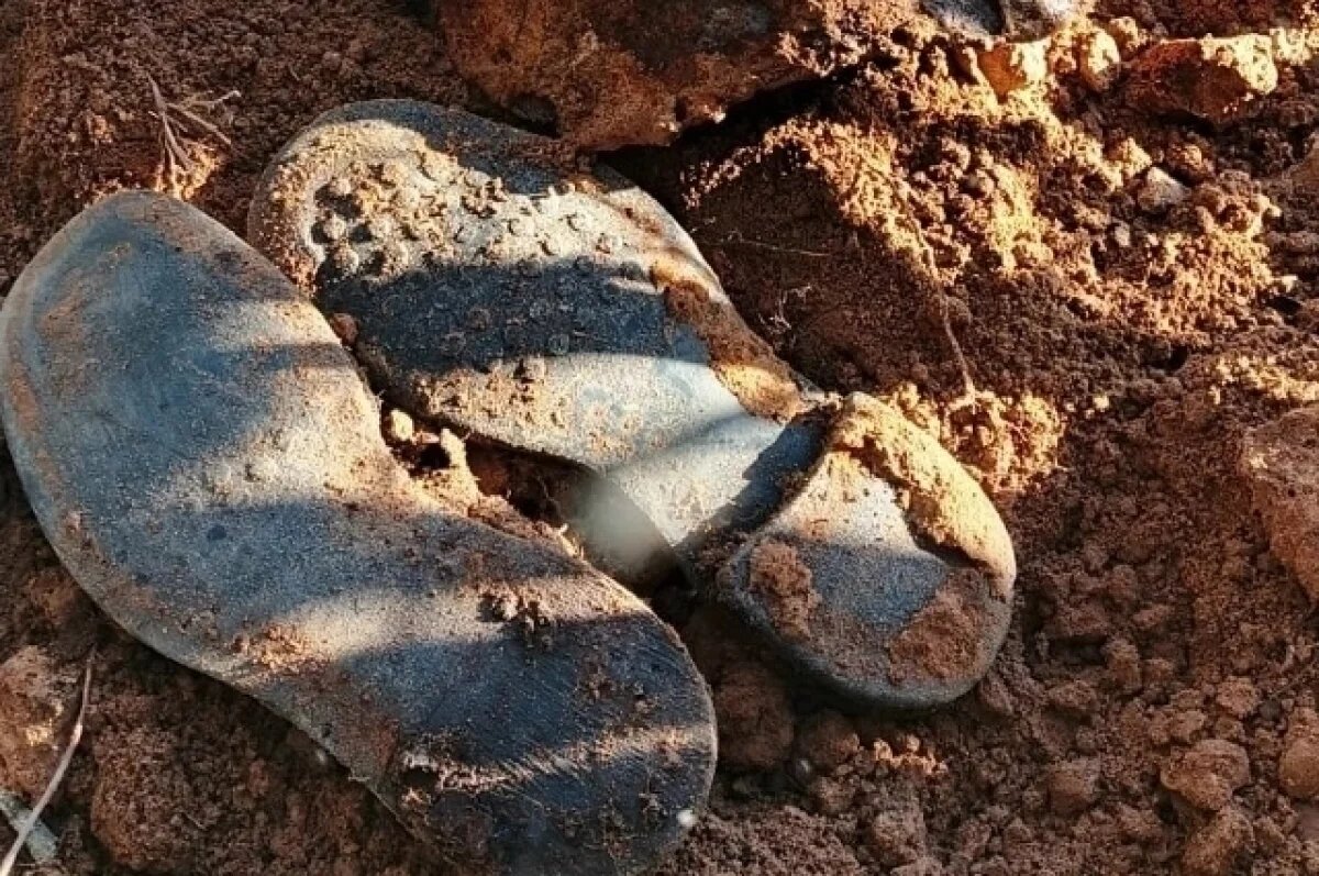    Останки 43 бойцов Красной Армии перезахоронили в Новоржеве,