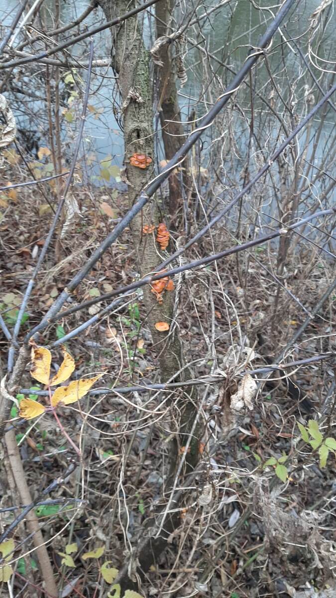 Это мое фото поэтому снято так плохо😁