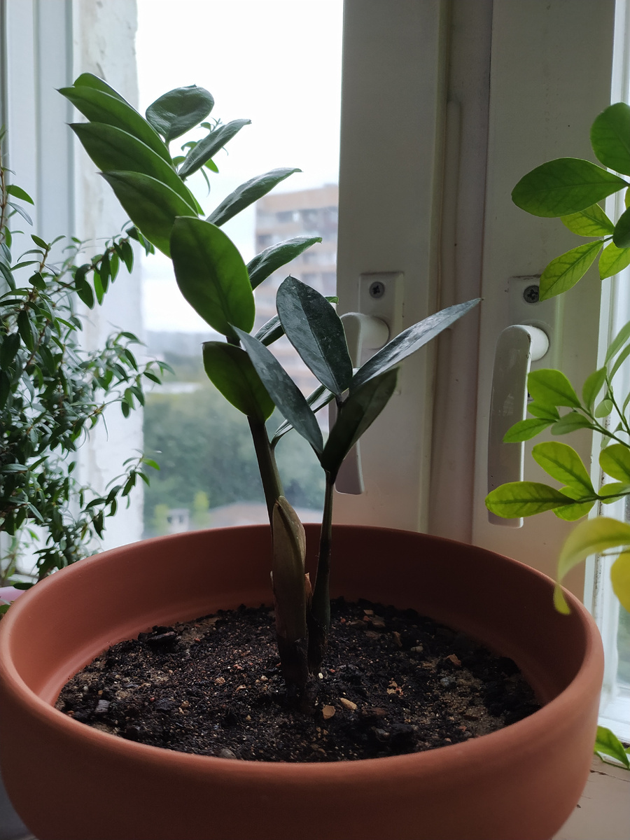 Для медитации 