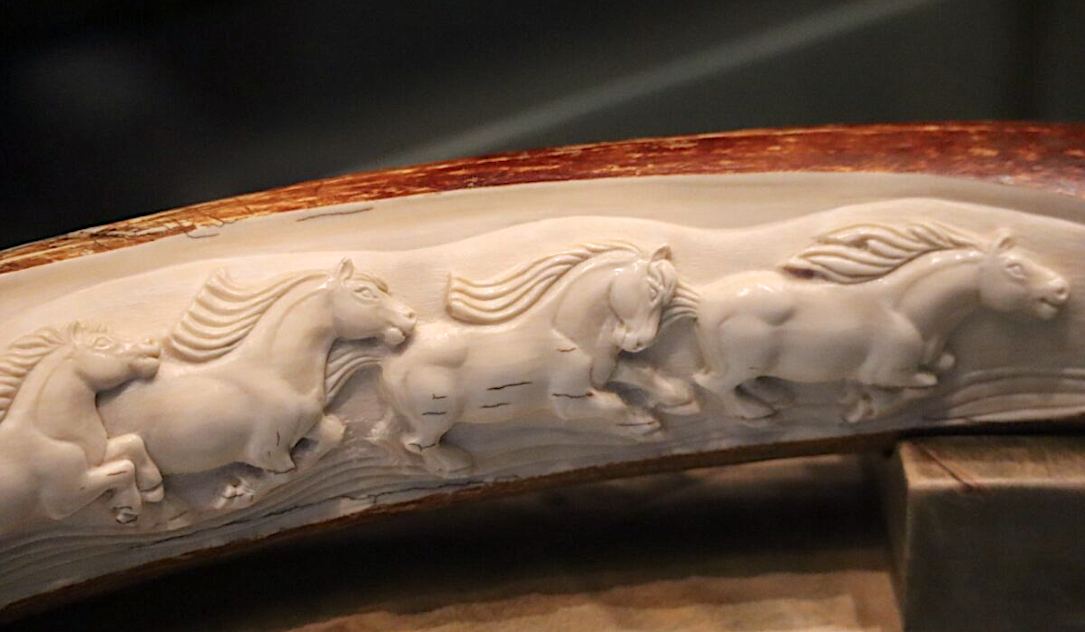 Фрагмент экспозиции. Фото: Нарыйа Пахомова, ЯСИА. Источник: ysia.ru